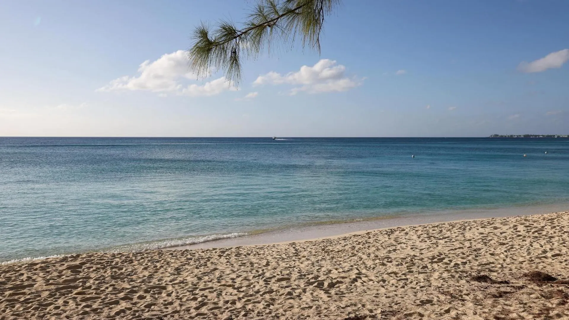 Luxury 1 Bed Apartment Near Seven Mile Beach At The Grove - Villa Island Life West Bay